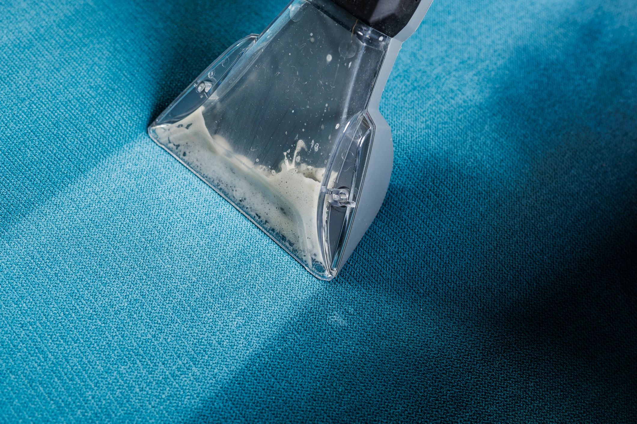 Professional upholstery cleaning on a sofa