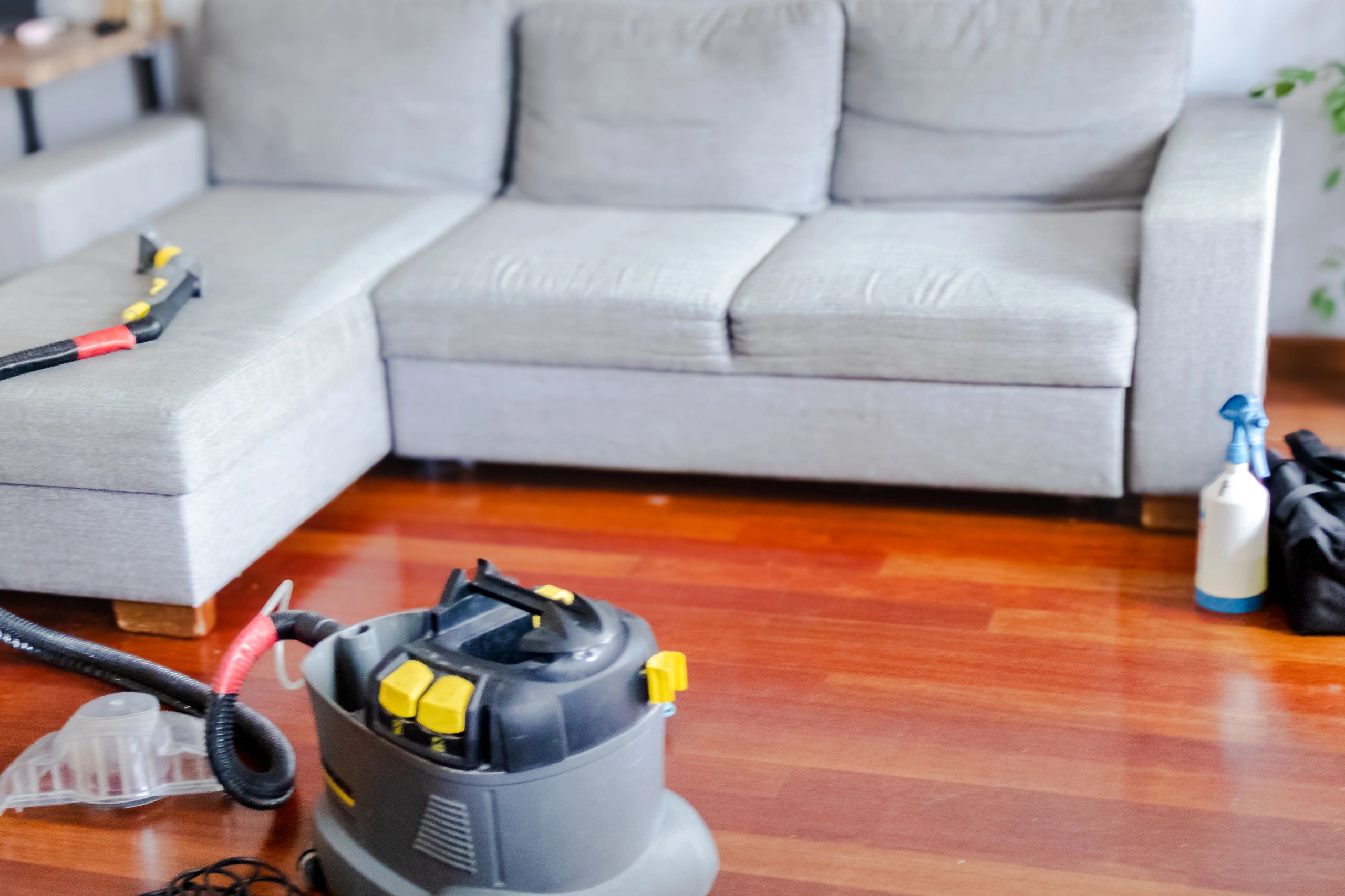 Upholstery cleaning machine beside a sofa