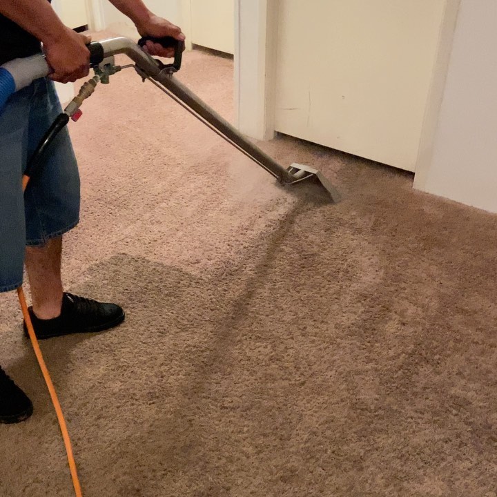 carpet cleaning