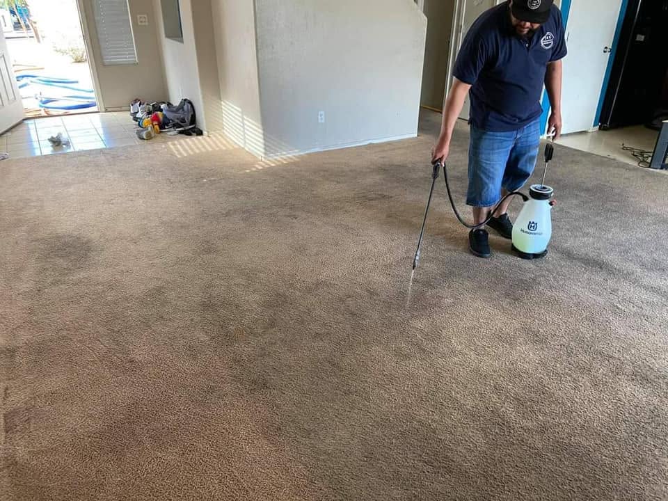 move out cleaning